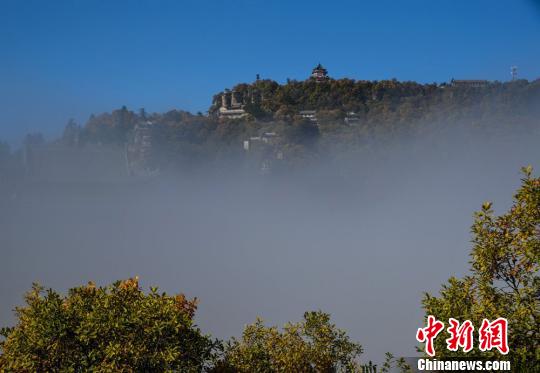 图为云海景观。 徐振华 摄