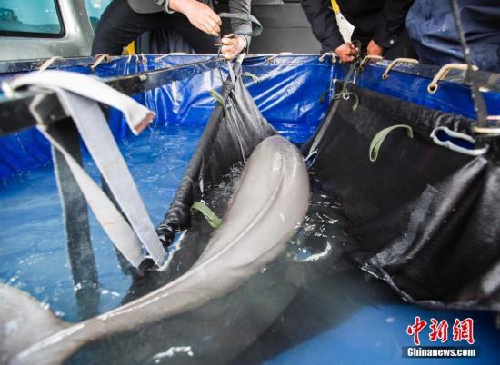 ����ͼ������۶������ͷ�����ʡ��Ǩ �������� ��