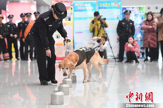 图为铁路民警带搜爆犬进行搜爆检查。 俞靖 摄