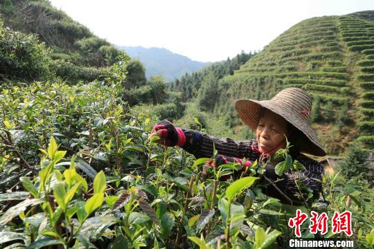 ��������ѿ����������ũæ��ߢ