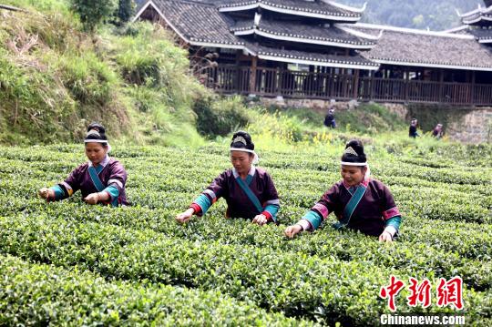 �ڲ�԰��æµ�Ĳ�ũ��������ѫ ��