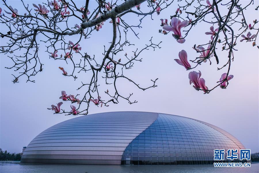 �������й�����1����������