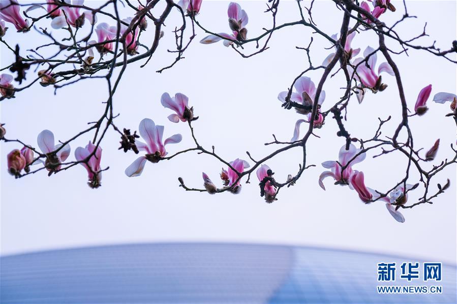 �������й�����3����������