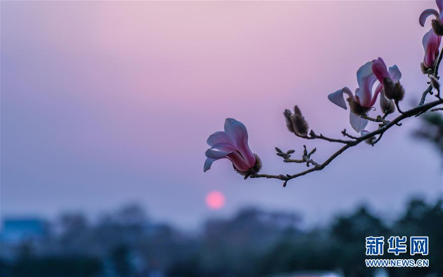 �������й�����4����������