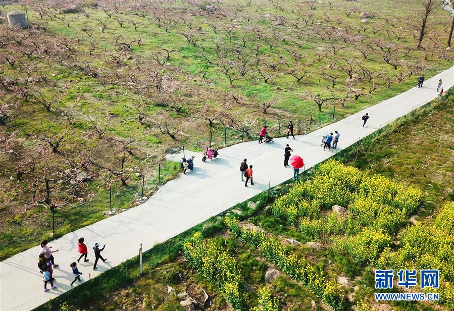 #����ᣩ��4������̤���ʱ��