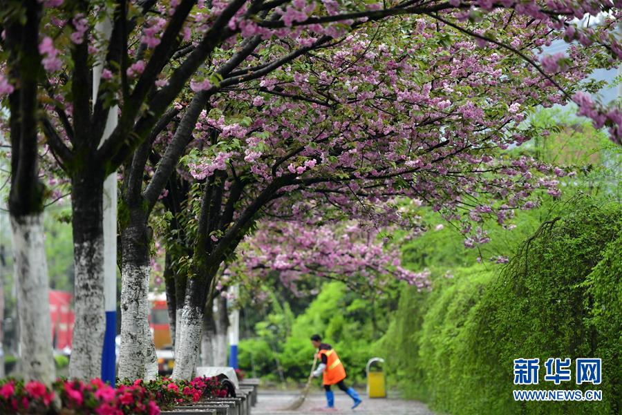 #����ᣩ��5������̤���ʱ��