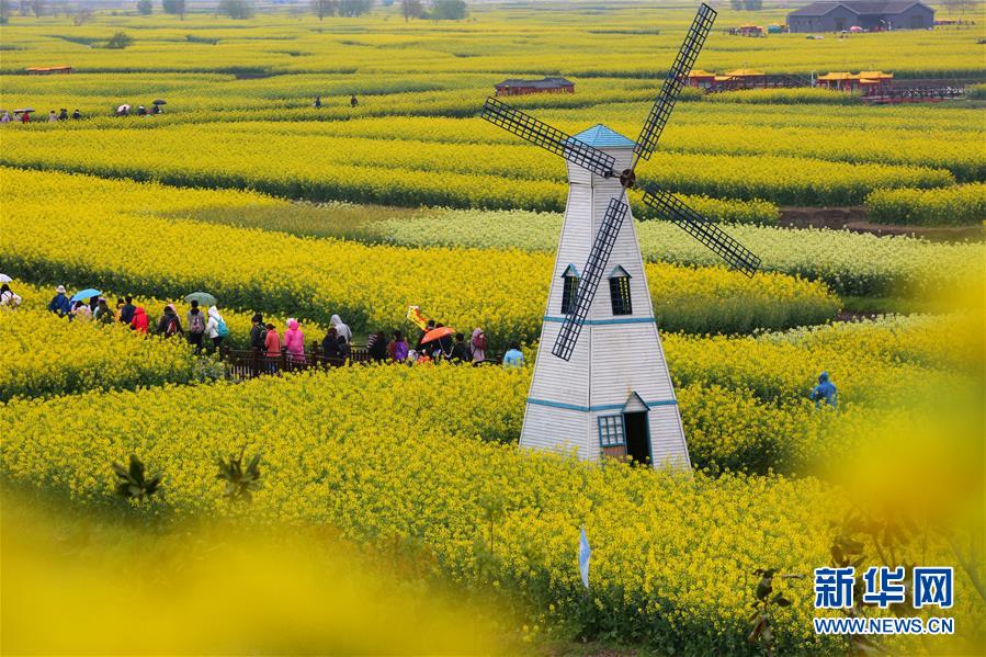 #����ᣩ��8������̤���ʱ��