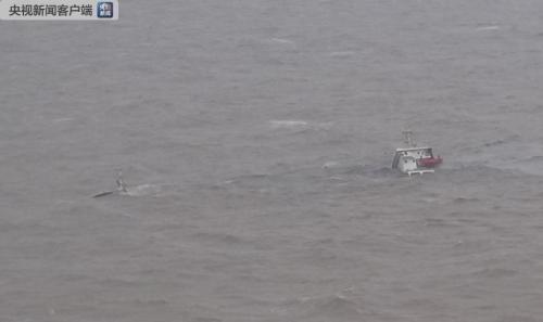 大浦江倾覆货船