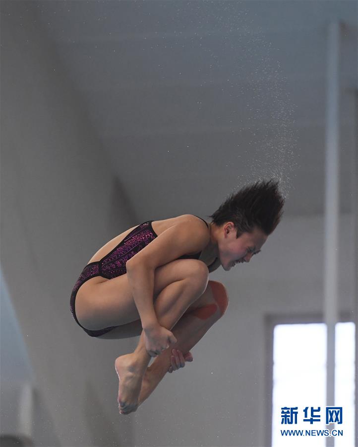 (体育)(4)跳水——2018年世界杯暨亚运会跳水项目选拔赛在北京举行