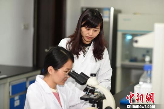 ����ũҵ��ѧ���ֹ㶫2��������������Ԫ�ס�