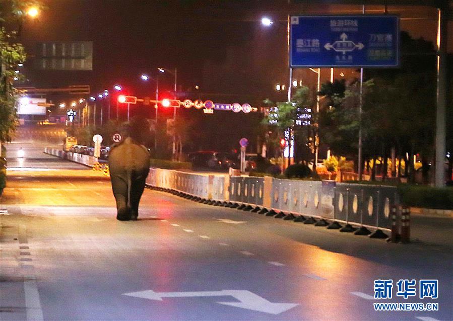 ����ᣩ�����ն����������ݡ����û��