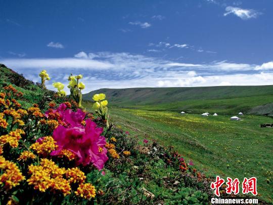 ������ʾ�ຣ����Դ��̬�������������Ժ�ת��ͼ��