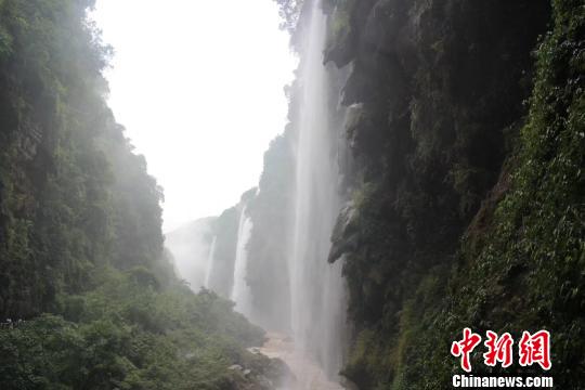 ��������ɭ�ֳ��н��������ж��ƻ�����ǧ��ɭ�ֹ�԰