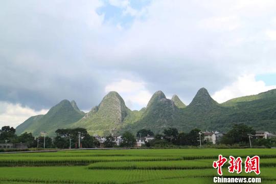 ����ʡ����������־���������� ��