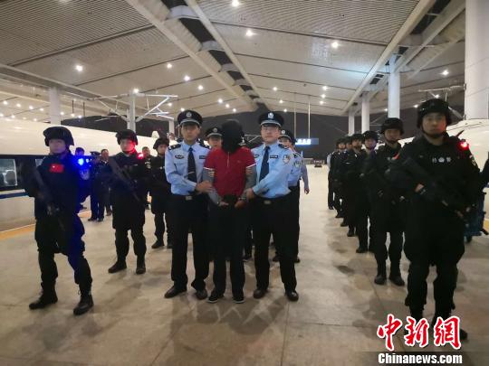 ���������ƻ���������Ϊ�����¡����ش����紫����