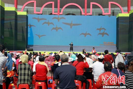 ��һ��һ·�����߹��Ҹ��ֹ������ݸϸ���