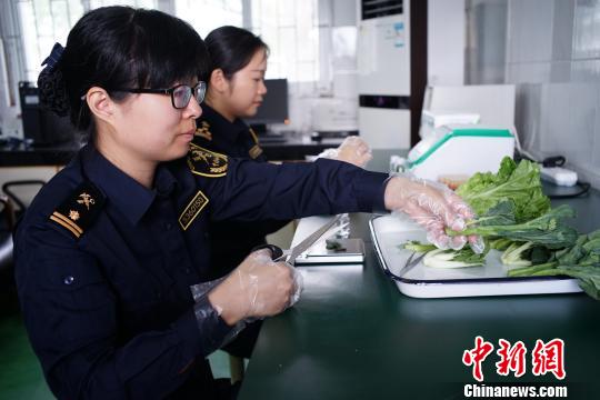 4��20�����磬���ں��ع�Ա���Ľ��ɿڰ��Թ����߲˽���ʵ���Ҽ�� ����� ��