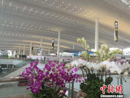 三层出发大厅 郭军 摄