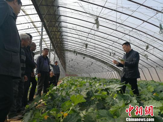 �ε���(����)�Ǹ��ڿ��ˣ�һֱ����Ԭ���ǵĶ����ϸ���������߲˴����ڴ����ʮ��������������ٮٮ�ߡ�����Ծ�� ��