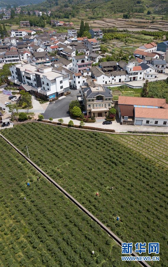 ᣩ10㽭ƽǧ򹤳̡ ֮ۡ