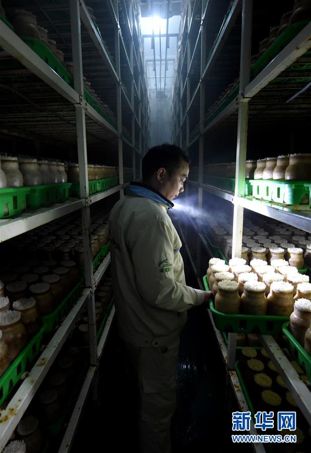 һߵĵ鱨桤ͼĻ12ƶΪ˺ƶҪ