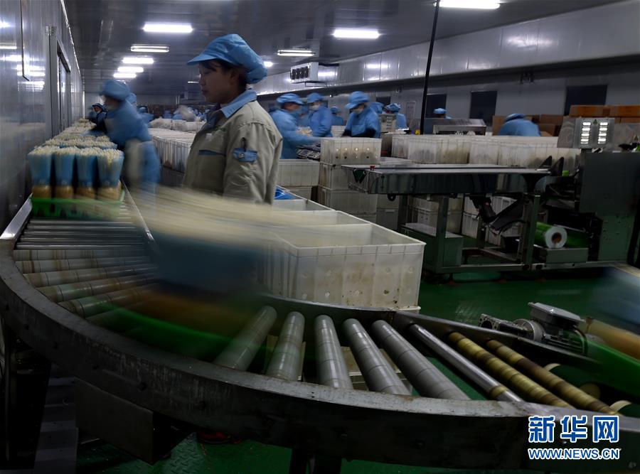 һߵĵ鱨桤ͼĻ5ƶΪ˺ƶҪ