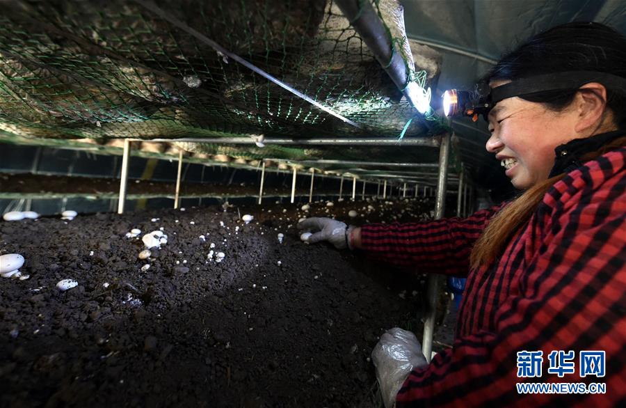 һߵĵ鱨桤ͼĻ3ƶΪ˺ƶҪ