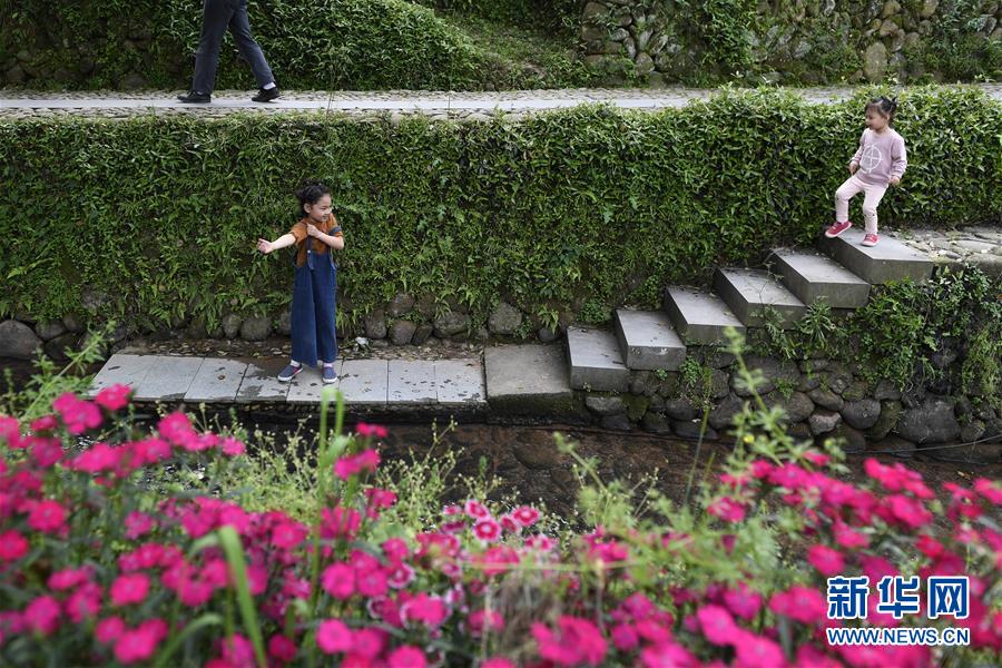 (社会)(17)浙江“千万工程”全面提升乡村人居环境