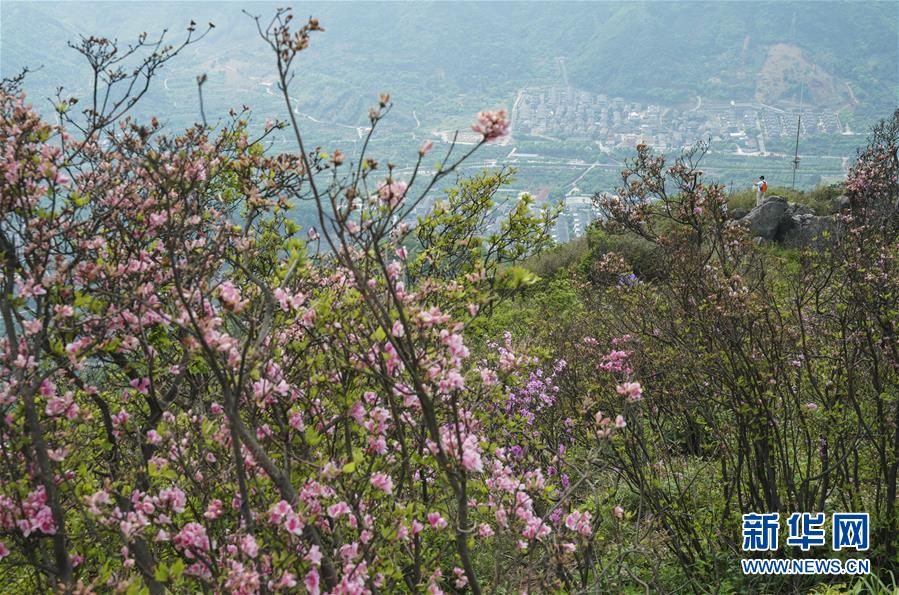 ᣩ14㽭ǧ򹤳̡βҵ