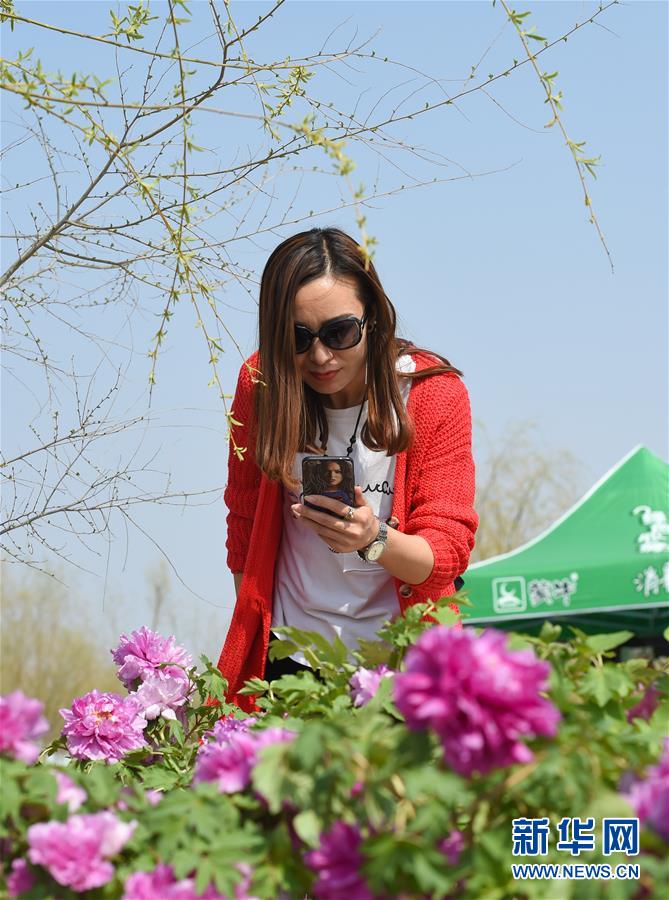 ����ᣩ��3����ĵ�� Ʒ��ʳ