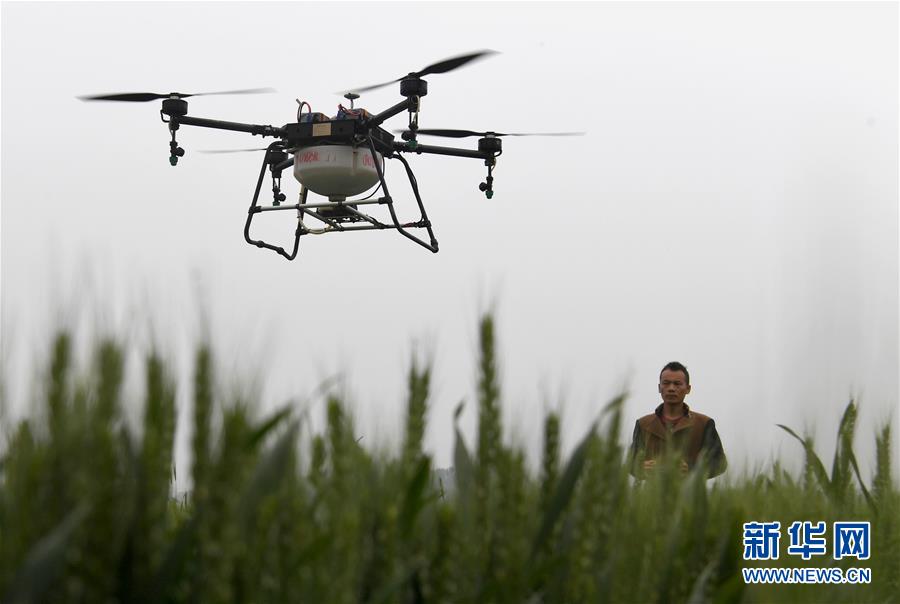 (经济)(3)无人机田间植保助丰收