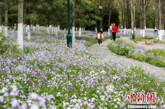 ˳���г�㳡��������԰���̻����ṩ