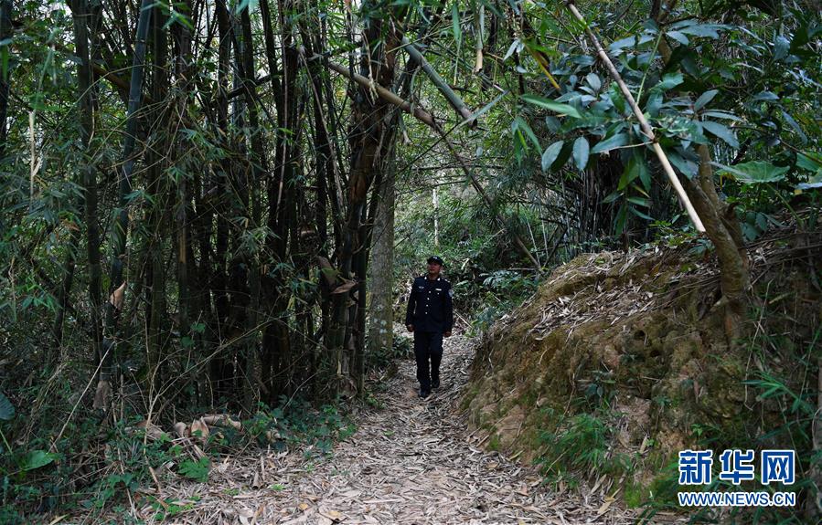 ������֮�ϣ���4���Ϸ���ƶ