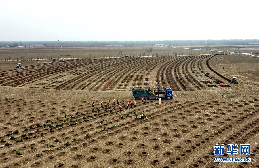 »ȫýͷͼĻ6ܽʱ۰ǡϰƽͬ־Ϊĵĵıָӱ۰滮ҪƼʵ