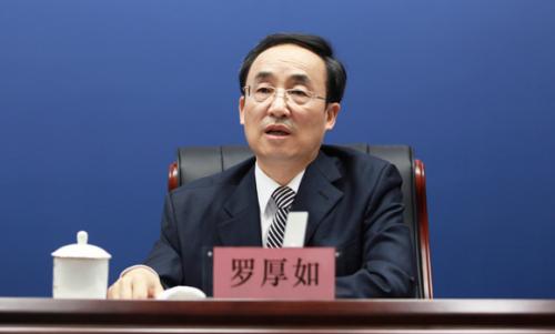 司法部基层工作指导司司长罗厚如回答记者提问。 图片来源:司法部网站