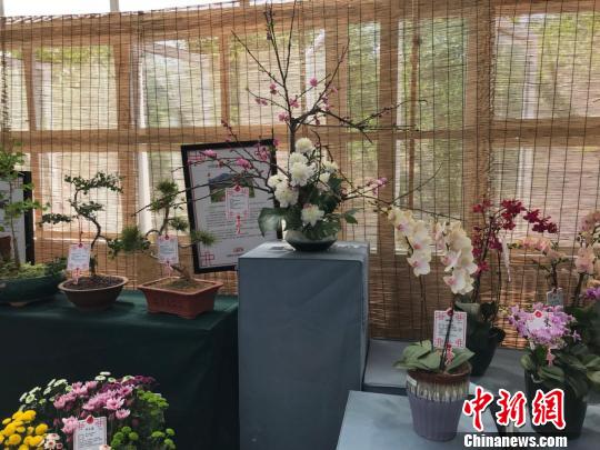 2019��԰�ᱱ��չƷ�������绨�ܴ��԰