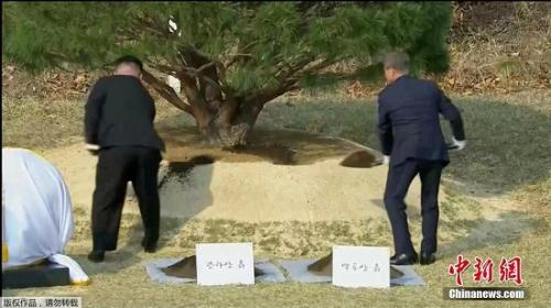 ����ʱ��4��27�գ����������������ڰ��ŵ���·ֽ��߸�����ͬ����һ��65�����������������һ��ͣսЭ��ǩ����һ�ꡪ��1953������������������ֱ����Գ��ʺͺ�������󣬽������ú���������ˮ���������������������Գ��ʴ�ͬ����ˮ������ľ������˫���쵼�˻���ֲ����ֳ���Ӱ���(���ӽ�ͼ)