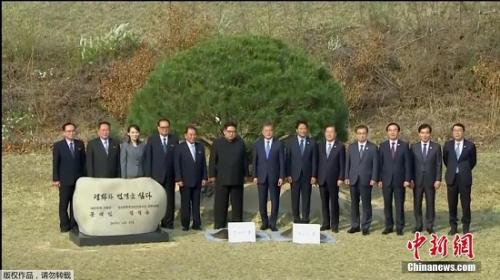 ����˫���쵼����ֲ����ֳ���Ӱ���