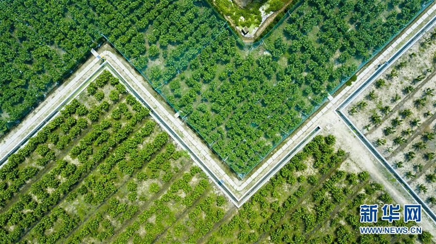 �����֮�ۣ���4�����֮�����ɽ