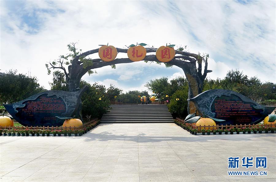 (习近平新时代中国特色社会主义思想在基层·美好生活新变化·图文互动)(1)从会种到会卖 由会卖到懂种——南丰“蜜桔村”破困局、种“金”桔