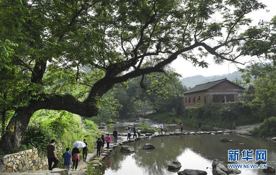 (美丽中国)(1)大山里的“梦里老家”