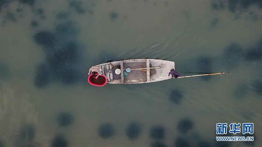 (图片故事)(2)周庄记之三:“聚宝盆”里的蟹农