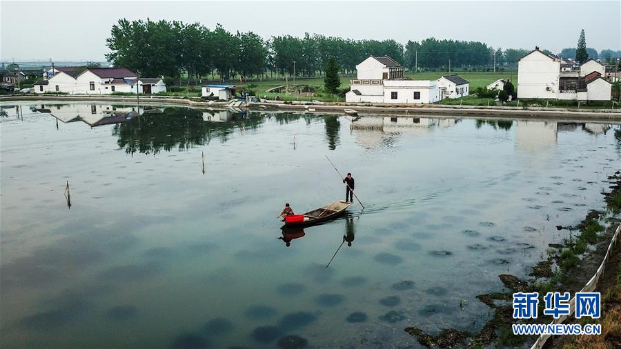 (图片故事)(3)周庄记之三:“聚宝盆”里的蟹农