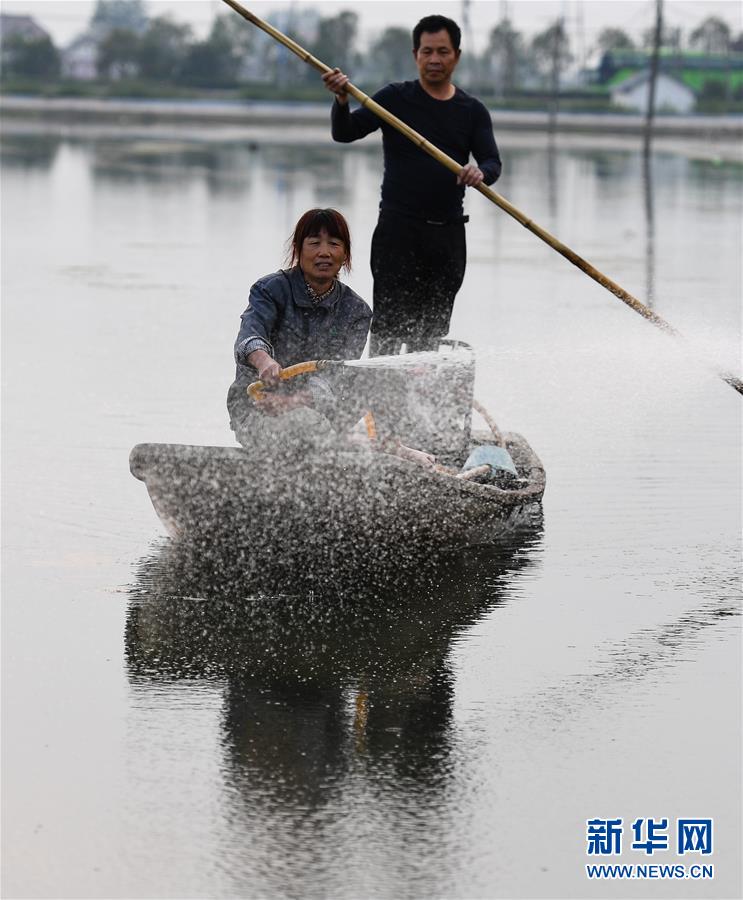 (图片故事)(7)周庄记之三:“聚宝盆”里的蟹农
