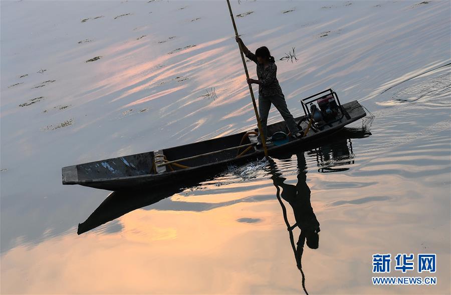 (图片故事)(8)周庄记之三:“聚宝盆”里的蟹农