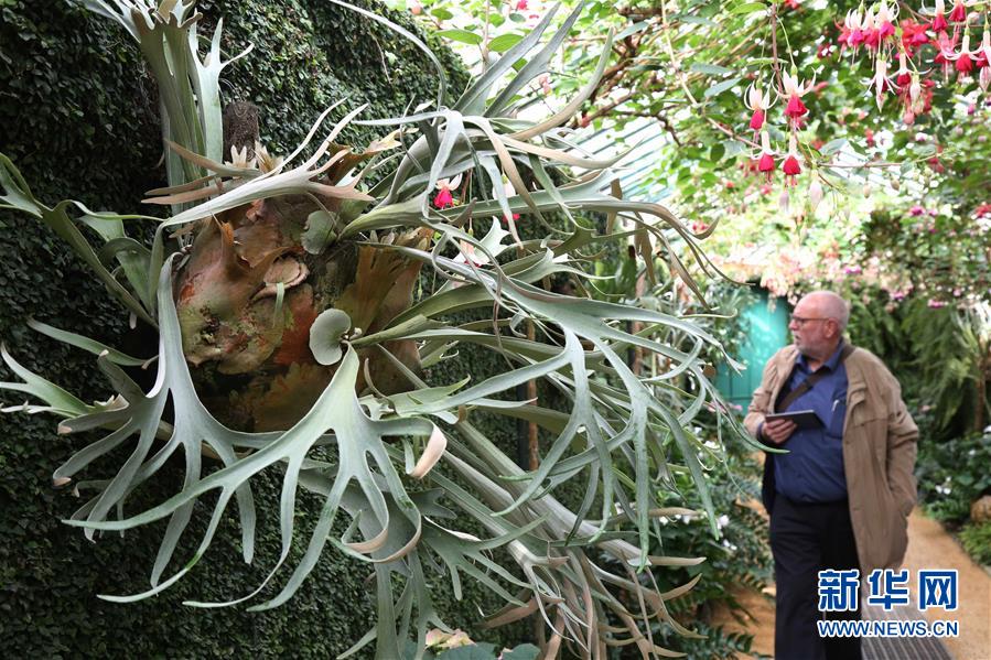 �����ʣ���5������ʱ�ʼ��������ڿ���