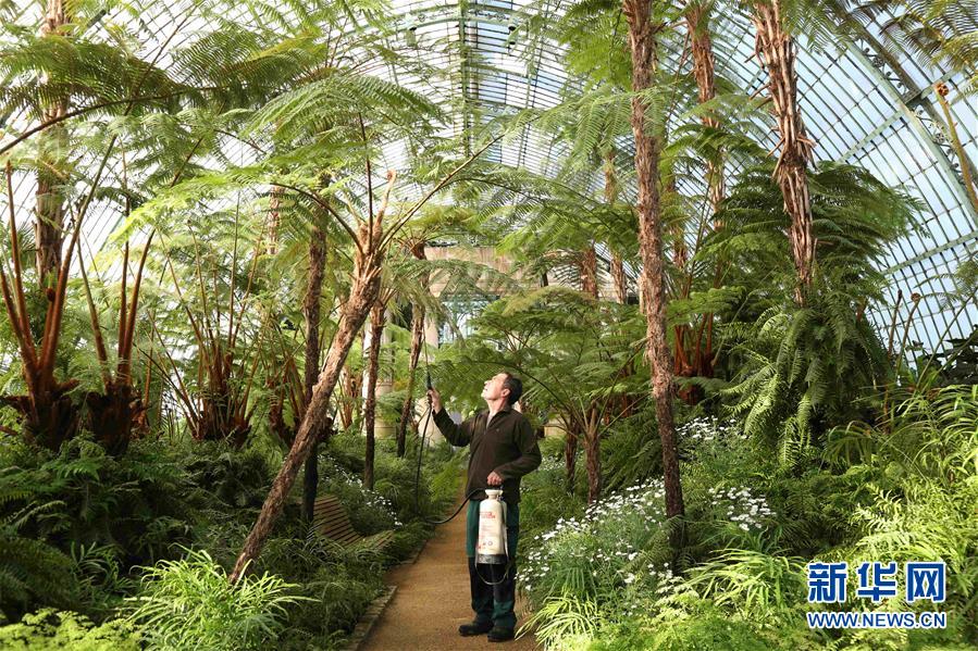 �����ʣ���3������ʱ�ʼ��������ڿ���