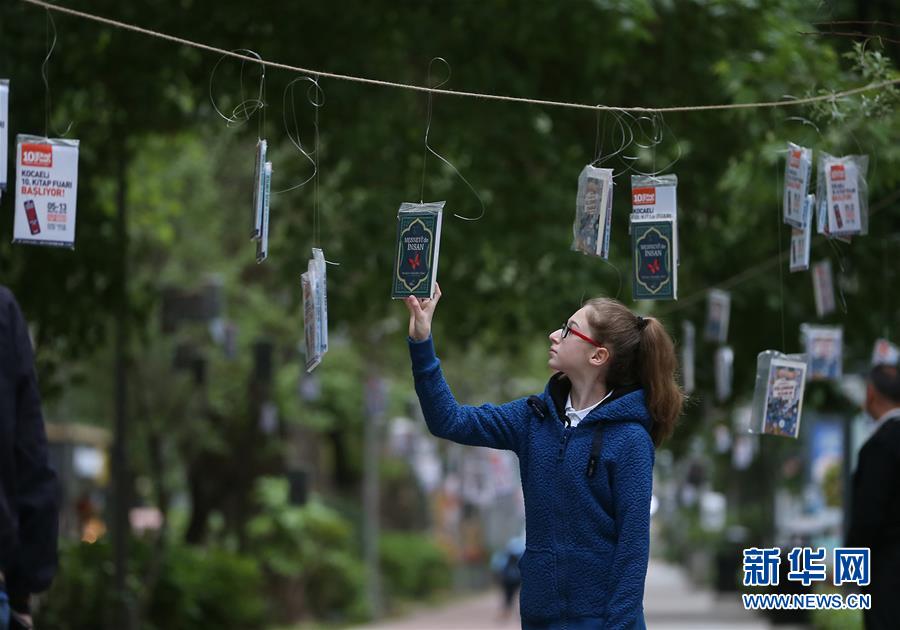 ��XHDW����1�������ϡ�ͼ��չ