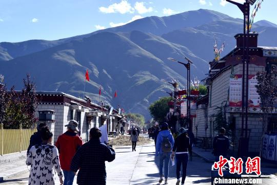 ͼΪ���ɴ����Ҫ�ֵ���������Ԫ ��