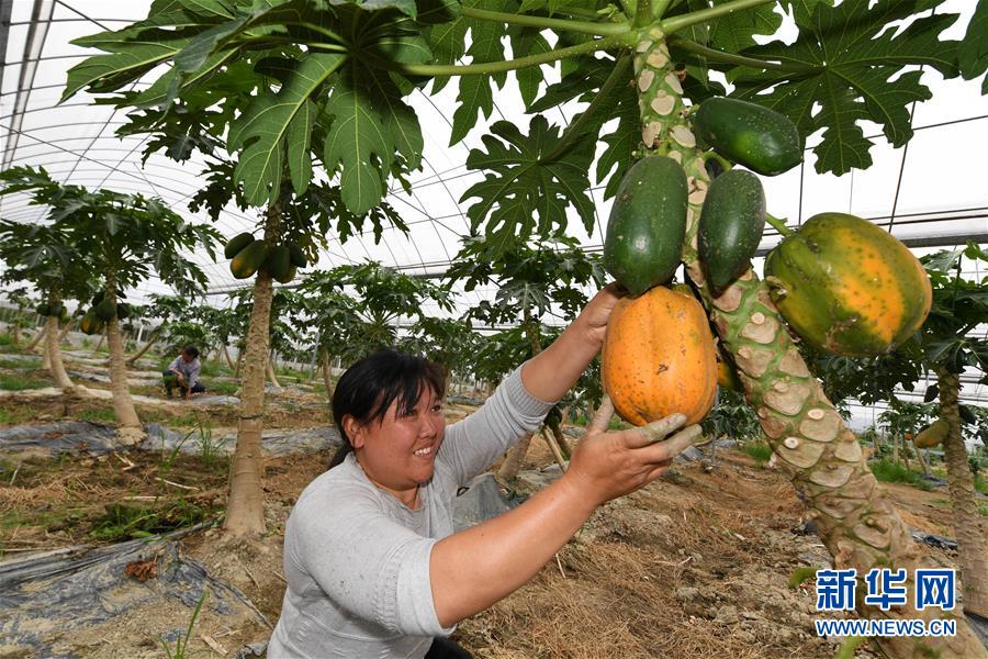 ᣩ2壺䡰ѪΪѪ ʵʩ׼ƶ